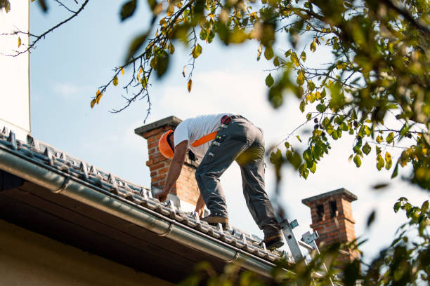 Best Emergency Roof Repair  in Royston, GA