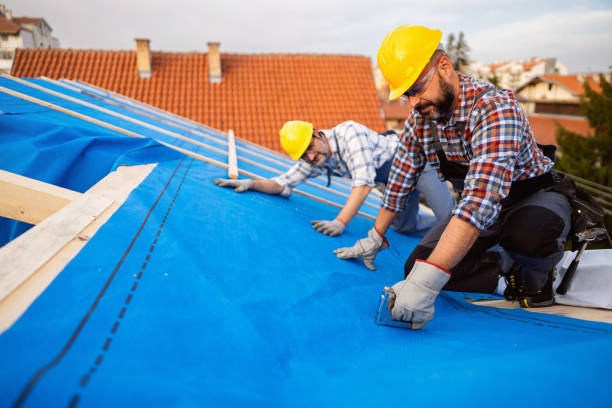 Best Metal Roofing Contractor  in Royston, GA