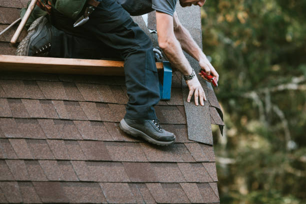 Best Gutter Installation and Roofing  in Royston, GA